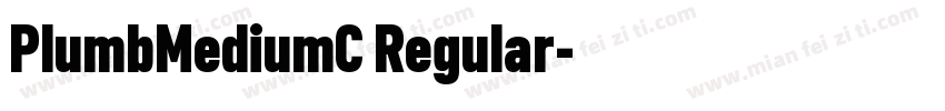 PlumbMediumC Regular字体转换